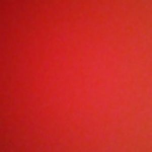 Meet your Posher, Elsa